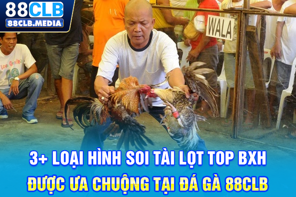 Đá Gà 88CLB Tự Hào Là Chiến Trường Đỉnh Cao Hàng Đầu 3+ loại hình soi tài lọt top BXH được ưa chuộng tại đá gà 88CLB