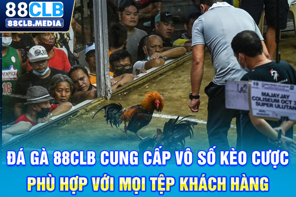 Đá Gà 88CLB Tự Hào Là Chiến Trường Đỉnh Cao Hàng Đầu Đá Gà 88CLB cung cấp vô số kèo cược phù hợp với mọi tệp khách hàng