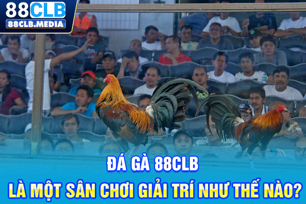 Đá Gà 88CLB Tự Hào Là Chiến Trường Đỉnh Cao Hàng Đầu Đá gà 88CLB là một sân chơi giải trí như thế nào?