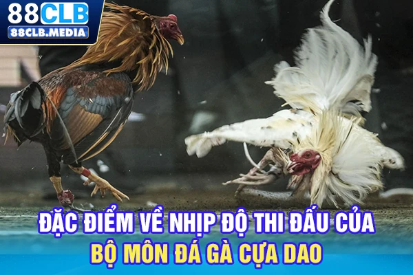 Đá Gà Cựa Dao Mới Nhất Hôm Nay, Xem Trực Tiếp Full HD Đặc điểm về nhịp độ thi đấu của bộ môn đá gà cựa dao