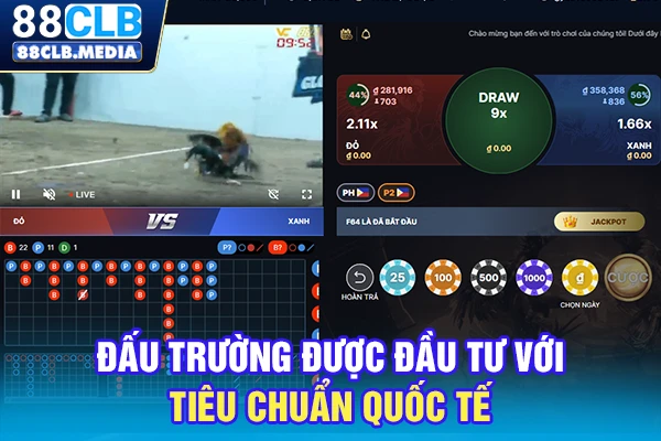 Đá Gà Campuchia Vào Kèo VIP, Hốt Bạc Tỷ Ngay Hôm Nay Đấu trường được đầu tư với tiêu chuẩn quốc tế